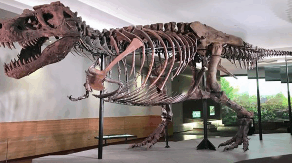 ضرورة إقامة متحف جيولوجي ب"جهة درعة-تافيلالت" لضمان الاستدامة العلمية والسياحية