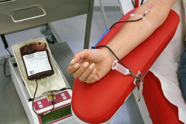 نمو طنجة بلا دم.. جمعيات تدق ناقوس الخطر