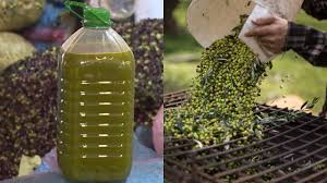 زيوت سوس ترد على شائعات زيت الزيتون المسموم